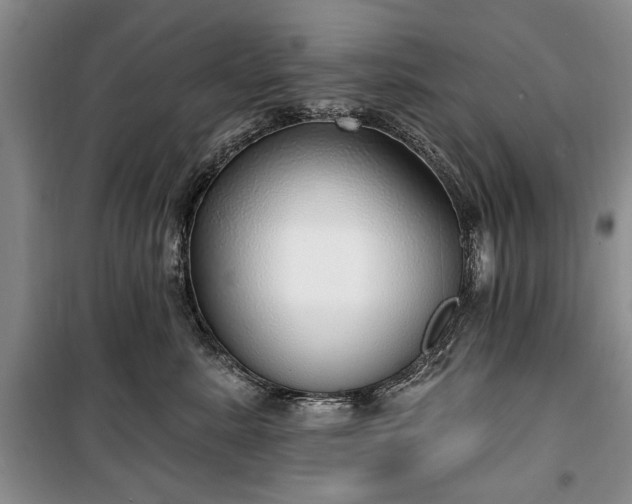 X0000100360619200806131016