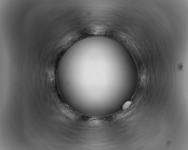 X0000100360620200806131016