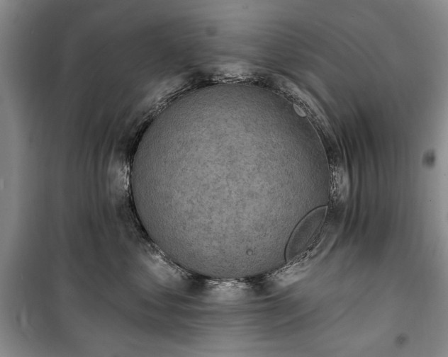 X0000100360621200806131016