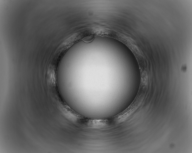 X0000100360622200806131016