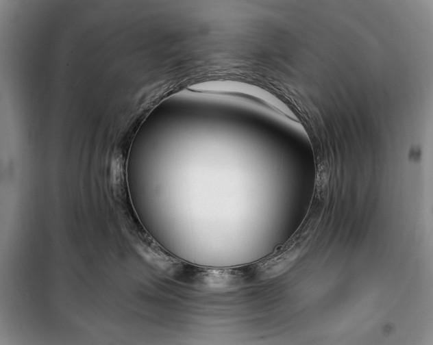 X0000100360623200806131016