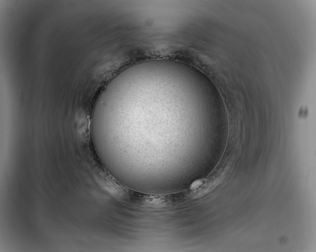 X0000100360624200806131016