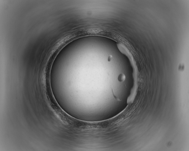 X0000100360626200806131015