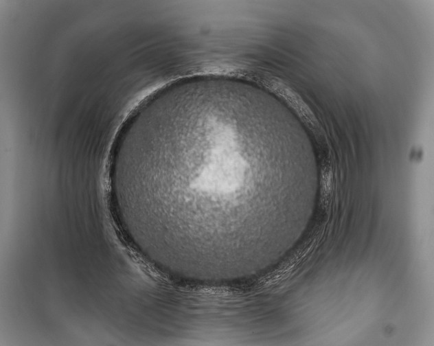 X0000100360628200806131015