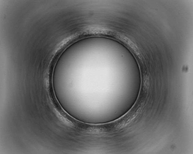 X0000100360629200806131015