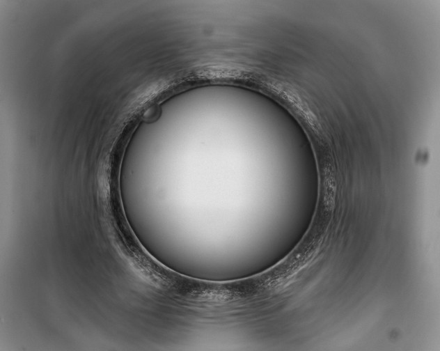 X0000100360631200806131016