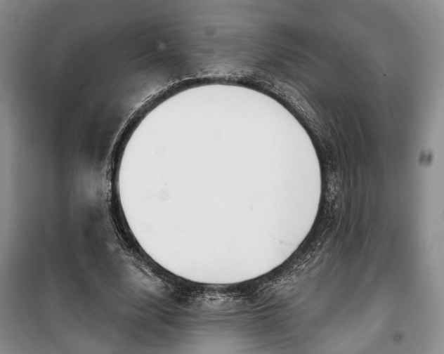 X0000100360632200806131016