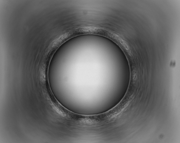 X0000100360633200806131016