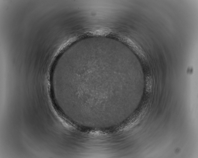 X0000100360634200806131016