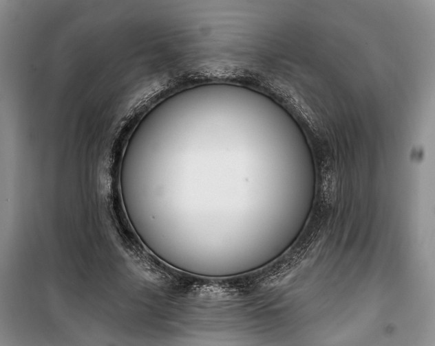 X0000100360635200806131016