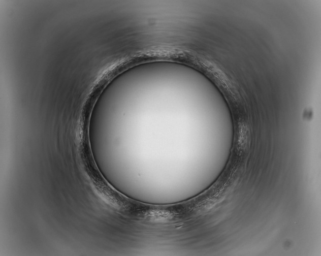 X0000100360636200806131016