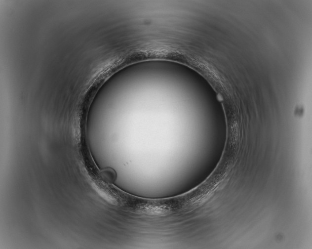 X0000100360638200806131016