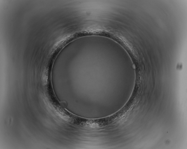 X0000100360640200806131016