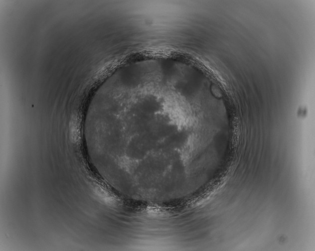 X0000100360641200806131016