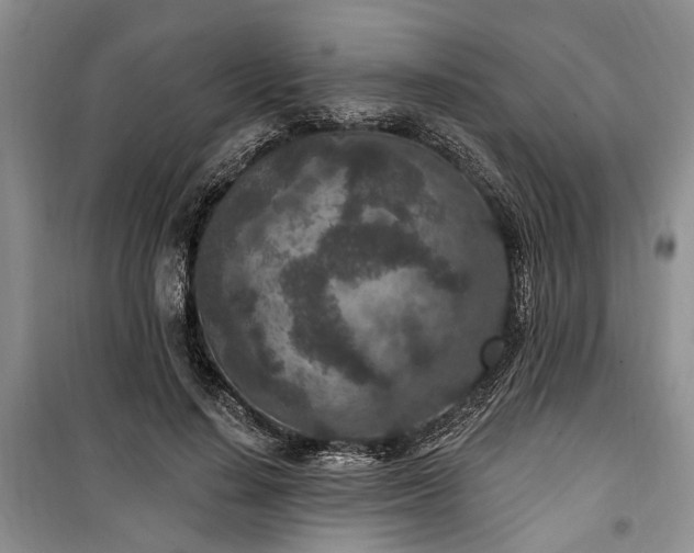 X0000100360644200806131016