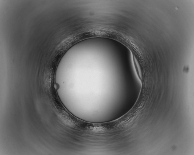 X0000100360645200806131016