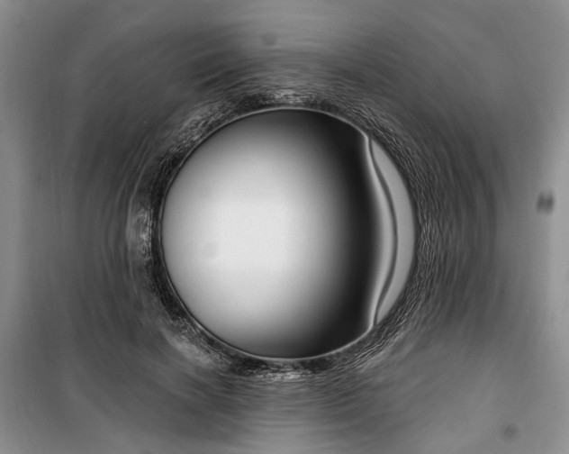 X0000100360646200806131016