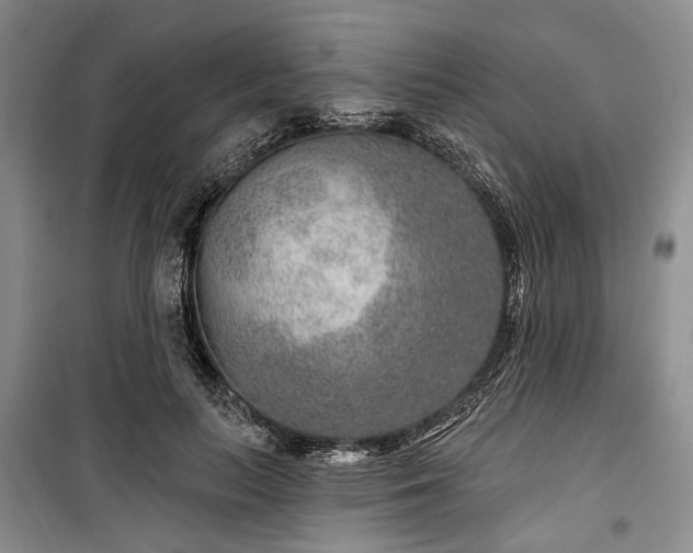 X0000100360647200806131016