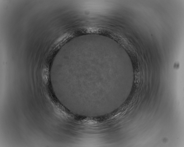 X0000100360648200806131016