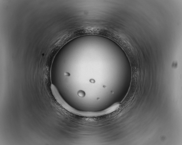 X0000100360649200806131016