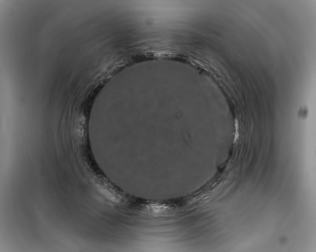 X0000100360650200806131016