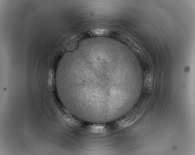 X0000100360651200806131016