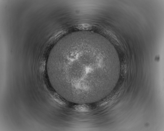 X0000100360652200806131016