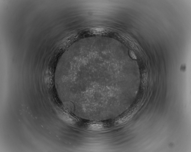 X0000100360653200806131016