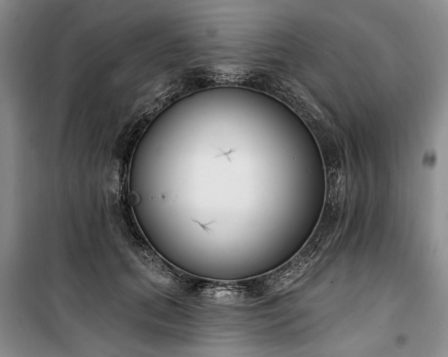 X0000100360655200806131016