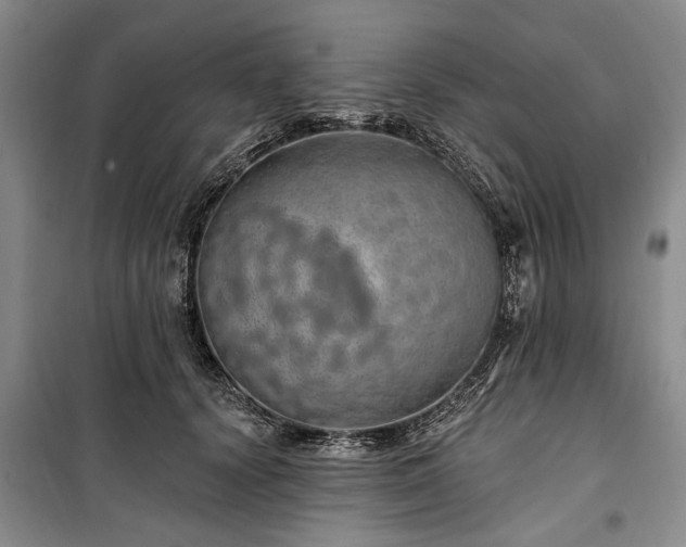 X0000100360656200806131016