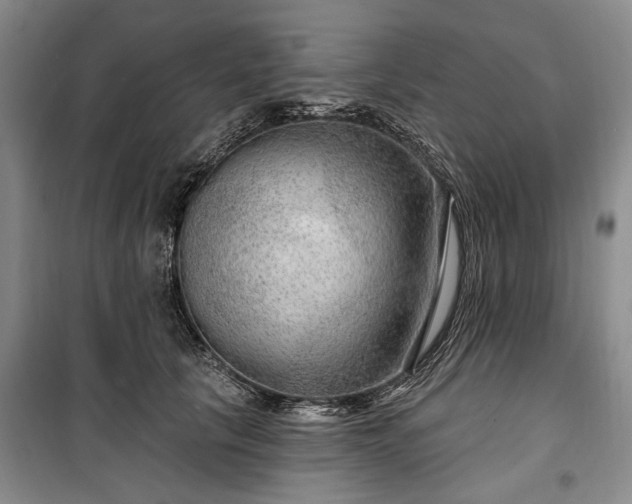 X0000100360657200806131016