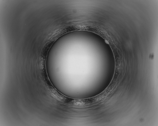 X0000100360658200806131016