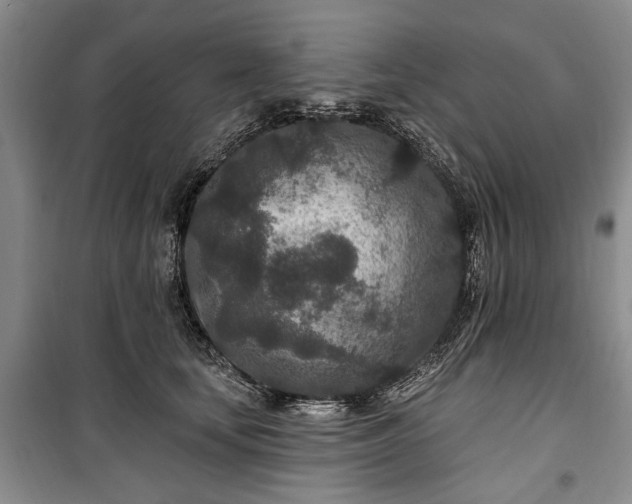 X0000100360659200806131016