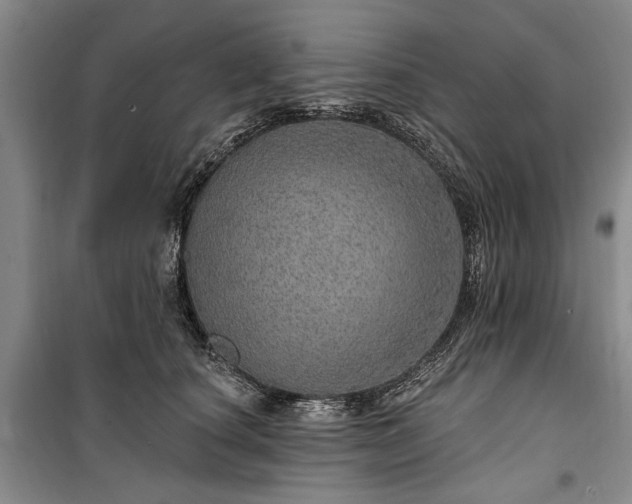 X0000100360660200806131016