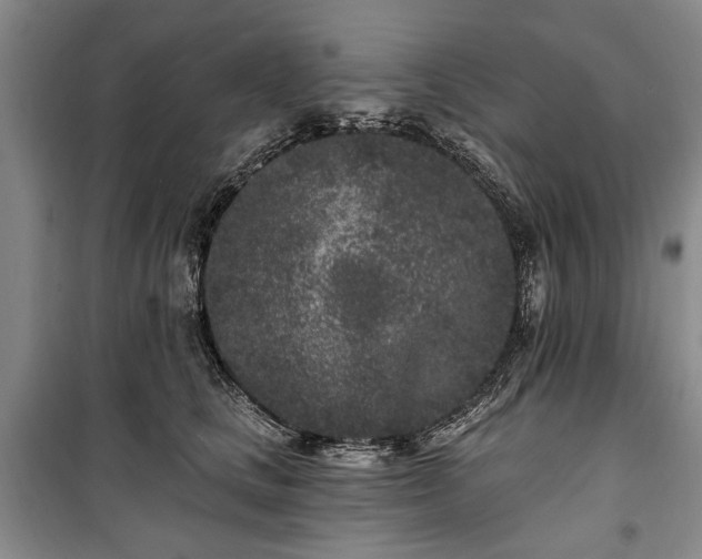 X0000100360661200806131016