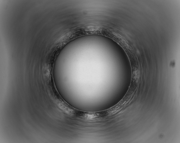 X0000100360662200806131016