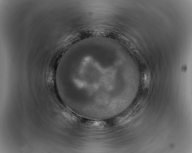 X0000100360663200806131016