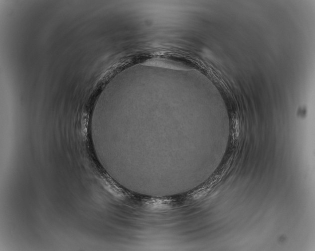 X0000100360664200806131016