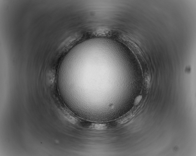 X0000100360665200806131016