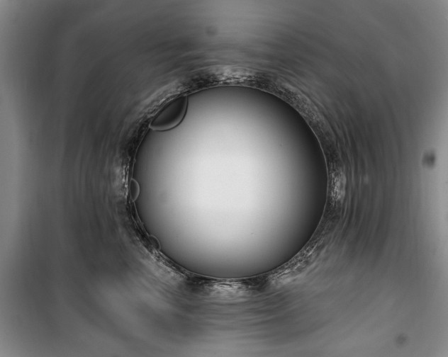 X0000100360666200806131016