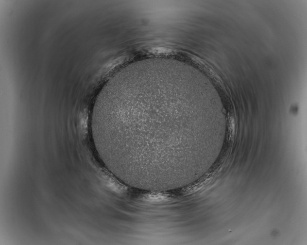 X0000100360668200806131016