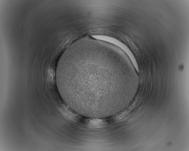 X0000100360669200806131016