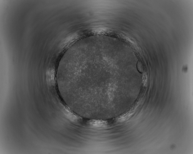 X0000100360670200806131016