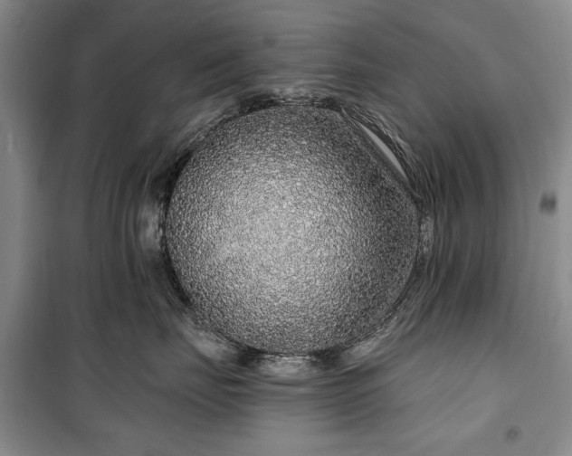 X0000100360671200806131016