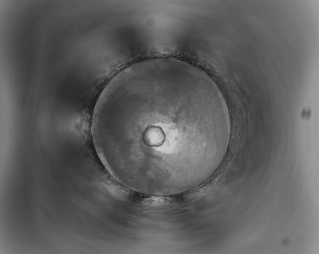 X0000100360672200806131016