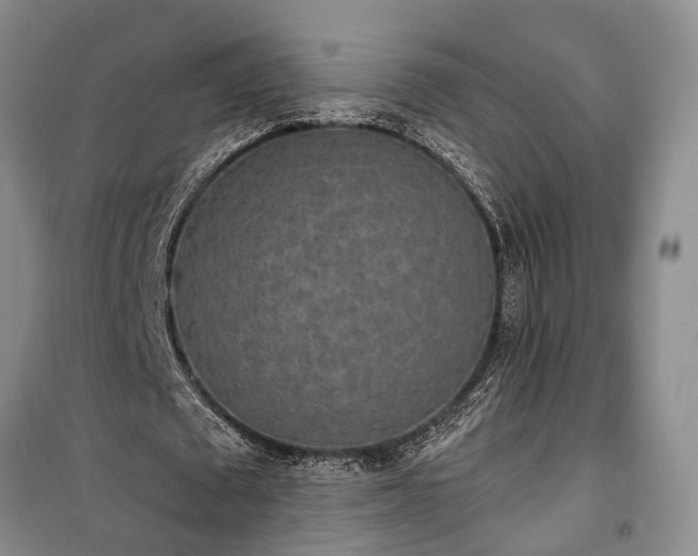 X0000100360673200806131015