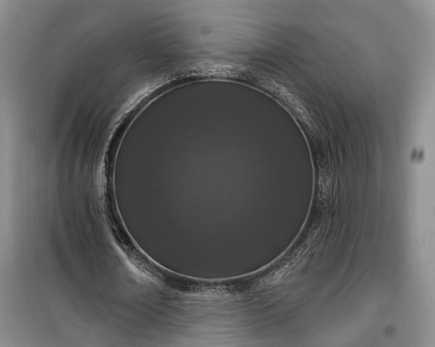 X0000100360674200806131015