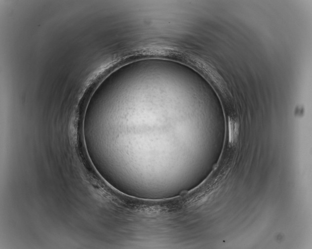 X0000100360675200806131015