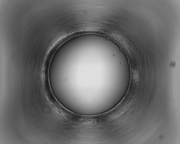 X0000100360676200806131015