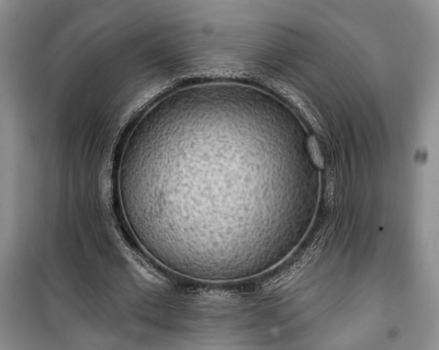 X0000100360677200806131015